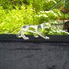 Swarovski Silver Crystal Retired Leopard No 217093 "African Wildlife" Boxed. SOLD