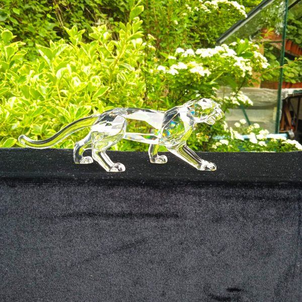 Swarovski Silver Crystal Retired Leopard No 217093 "African Wildlife" Boxed. SOLD
