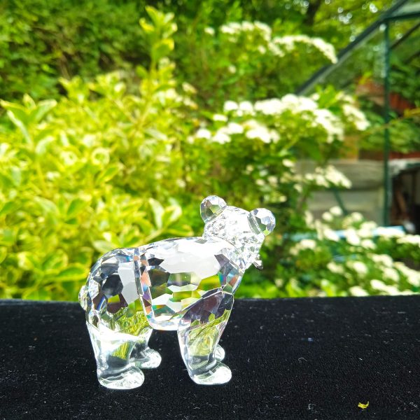 Swarovski Silver Crystal Retired No 261925 "Rare Encounters" Grizzly Bear Boxed. SOLD
