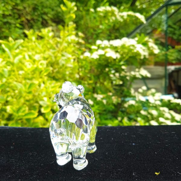 Swarovski Silver Crystal Retired No 261925 "Rare Encounters" Grizzly Bear Boxed. SOLD