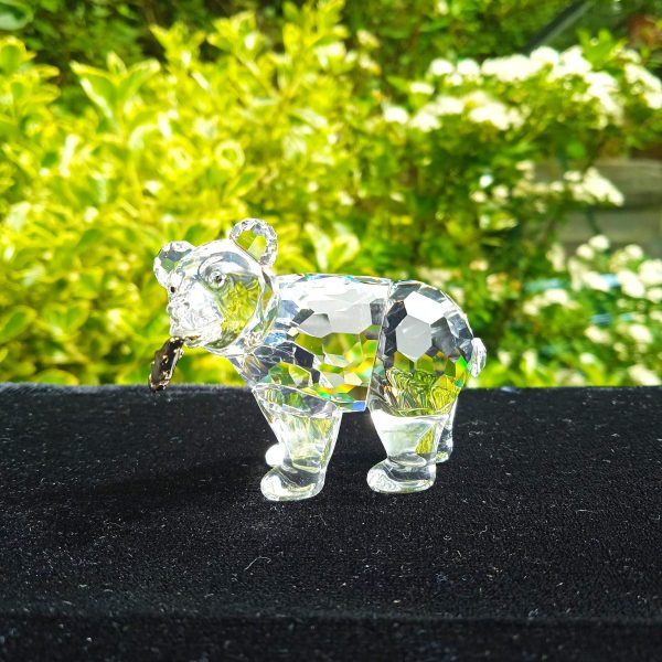 Swarovski Silver Crystal Retired No 261925 "Rare Encounters" Grizzly Bear Boxed. SOLD