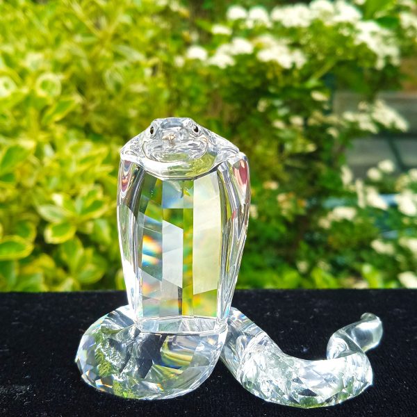 Swarovski Silver Crystal 243979 Retired "African Wildlife" Cobra. Boxed. SOLD.