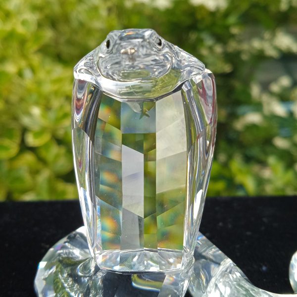 Swarovski Silver Crystal 243979 Retired "African Wildlife" Cobra. Boxed. SOLD.