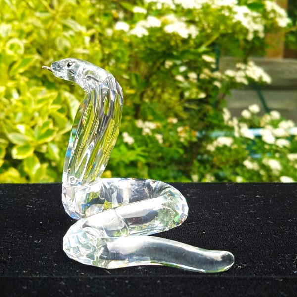 Swarovski Silver Crystal 243979 Retired "African Wildlife" Cobra. Boxed. SOLD.